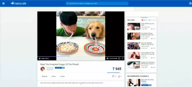 Платформа Metacafe Платформа Metacafe